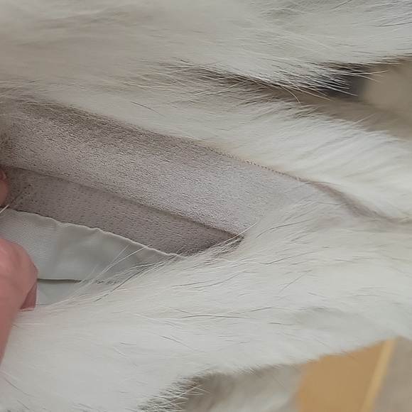 Saga Blue Fox - Picture 6 of 9